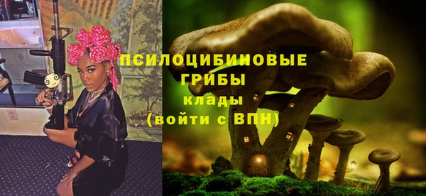 прущий лед Богородск