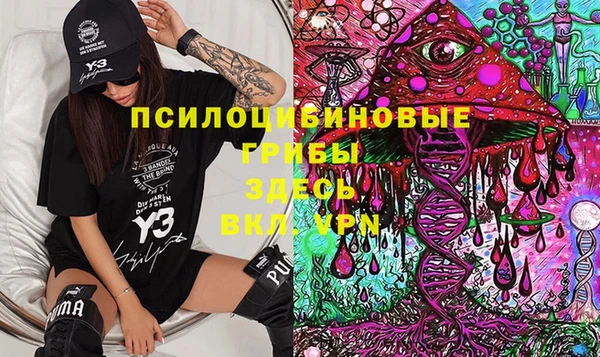 гидра Белоозёрский