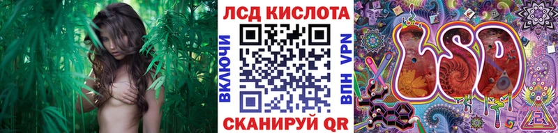 Наркотические марки 1,5мг это клад Курильск