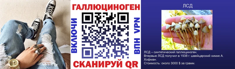 ссылка на мегу ТОР  сколько стоит  Курильск  Галлюциногенные грибы Cubensis 